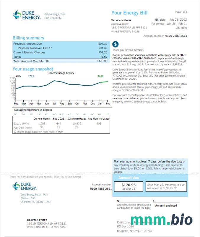 USA DUKE ENERGY rachunek za media Word i szablon PDF, Wersja 2